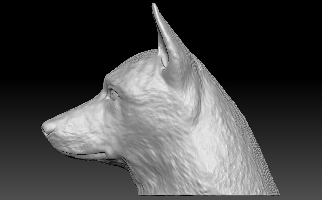 ArtStation - German Shepherd head for 3D printing | Resources