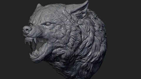 Wolf face head