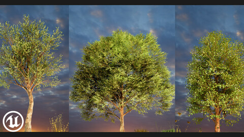 UE5/4 Cinematic Trees pack 01