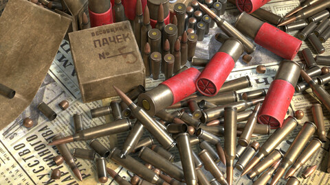 Ammunition: bullets and shell casings