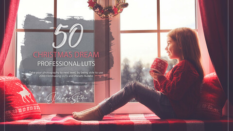 50 Christmas Dream LUTs and Presets Pack