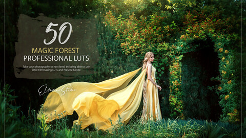 50 Magic Forest LUTs and Presets Pack