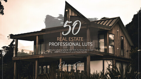 50 Real Estate LUTs and Presets Pack