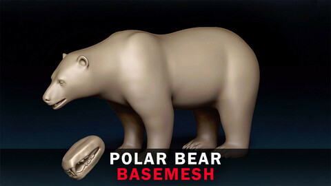 Polar Bear Basemesh 3D model