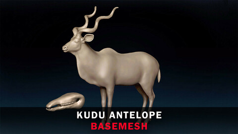 Kudu Antelope Basemesh 3D model