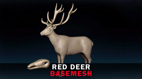 Red Deer Basemesh 3D model