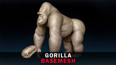 Gorilla Basemesh 3D model