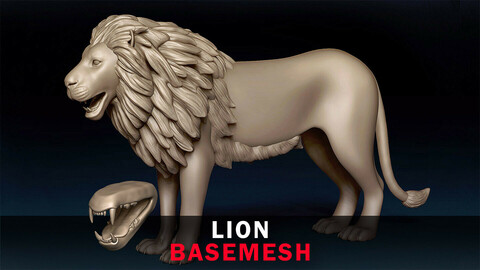 Lion Basemesh 3D model