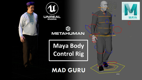 Metahuman Body Control Rig Python Script