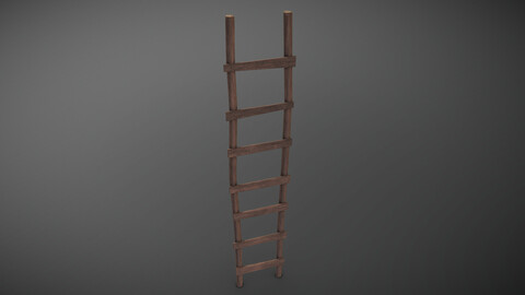 Wooden Ladder 2