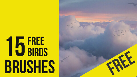 FREE Birds - Brushes for Photoshop