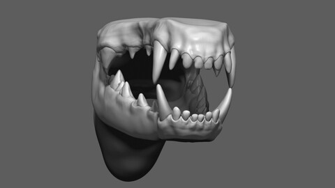 Dog Mouth ZBrush Sculpt