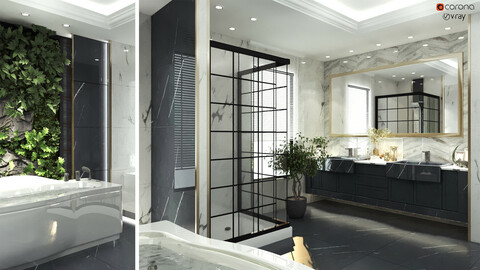 bathroom interior scene 011