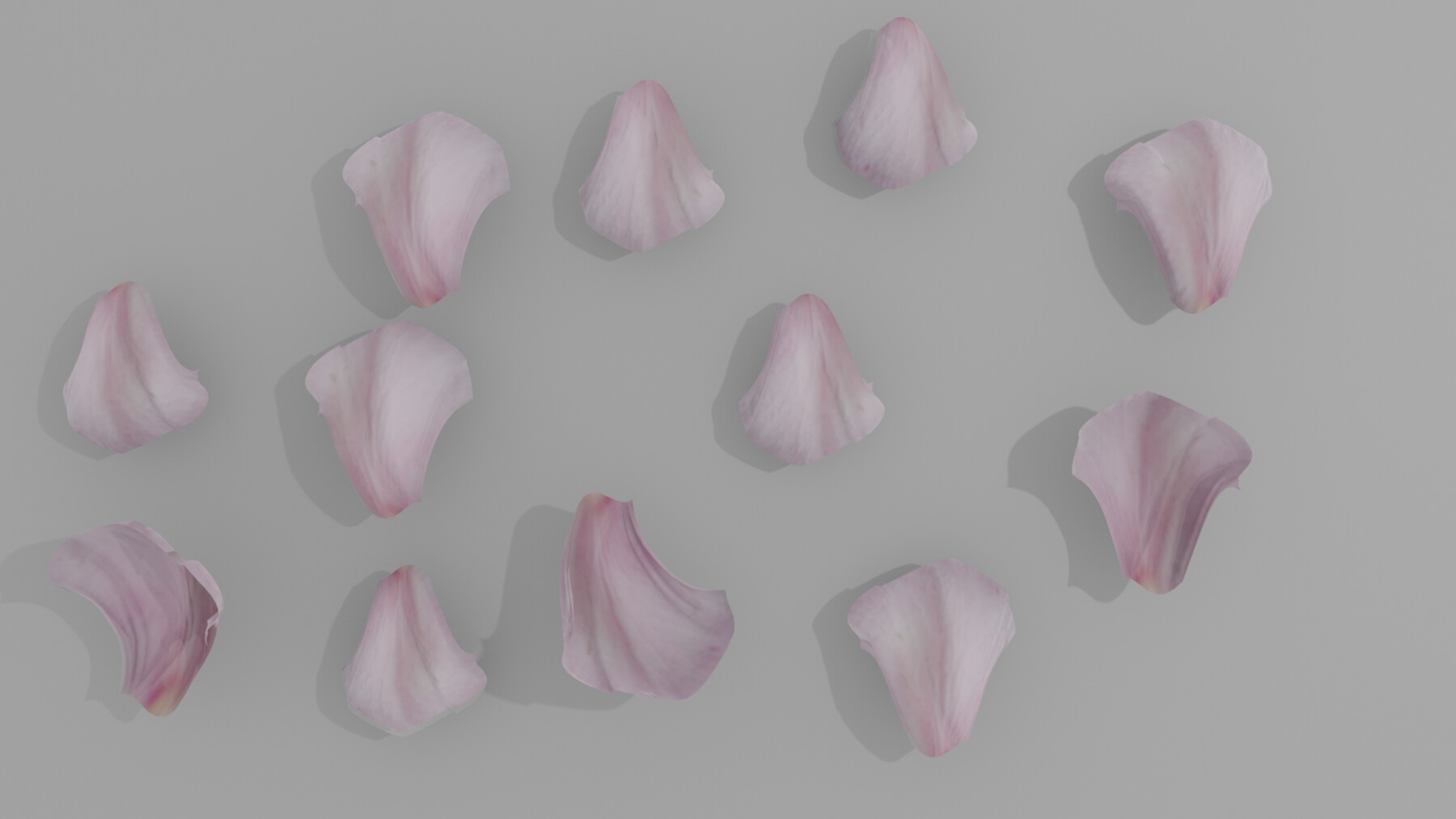 ArtStation rose petal Game Assets