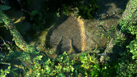Forest - Dinosaur Footprints 06