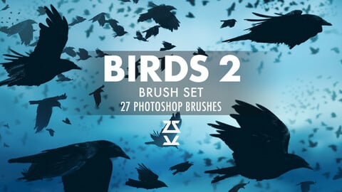 Birds 2 Brush Set