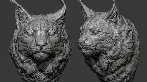 Lynx head