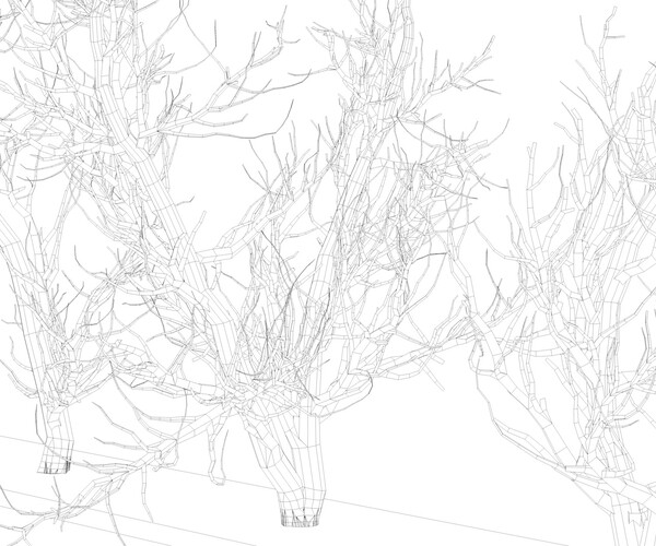 ArtStation - Root 5 trees low-poly | Resources