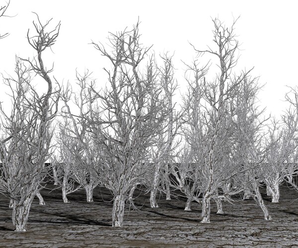 ArtStation - Root 5 trees low-poly | Resources