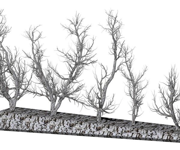 ArtStation - Root 5 trees low-poly | Resources