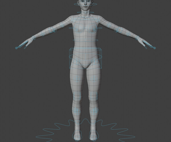 ArtStation - Stylized Humanoid Base Mesh - Male -Rigged- | Resources