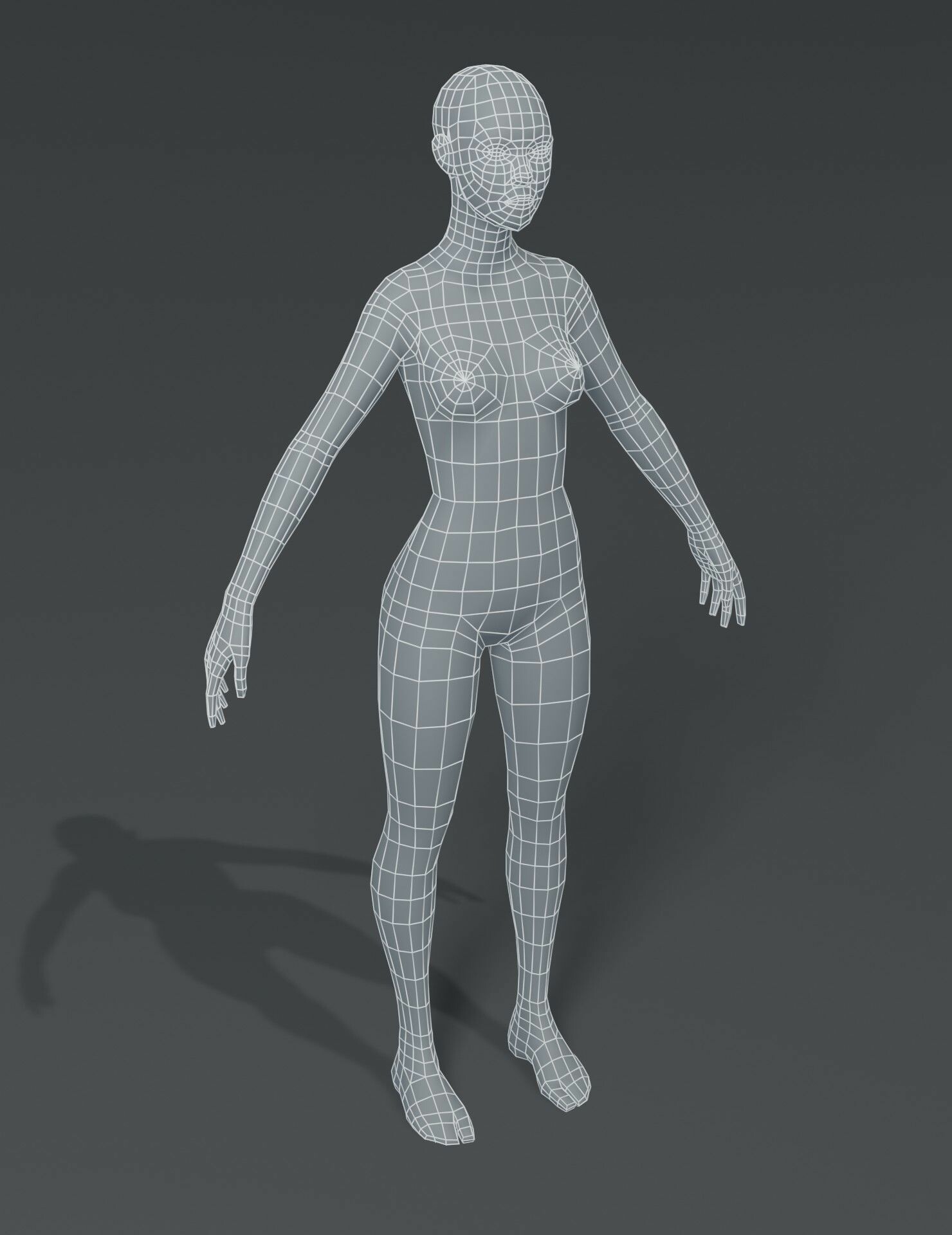 ArtStation - Male and Female Body Base Mesh 3D Model | Resources