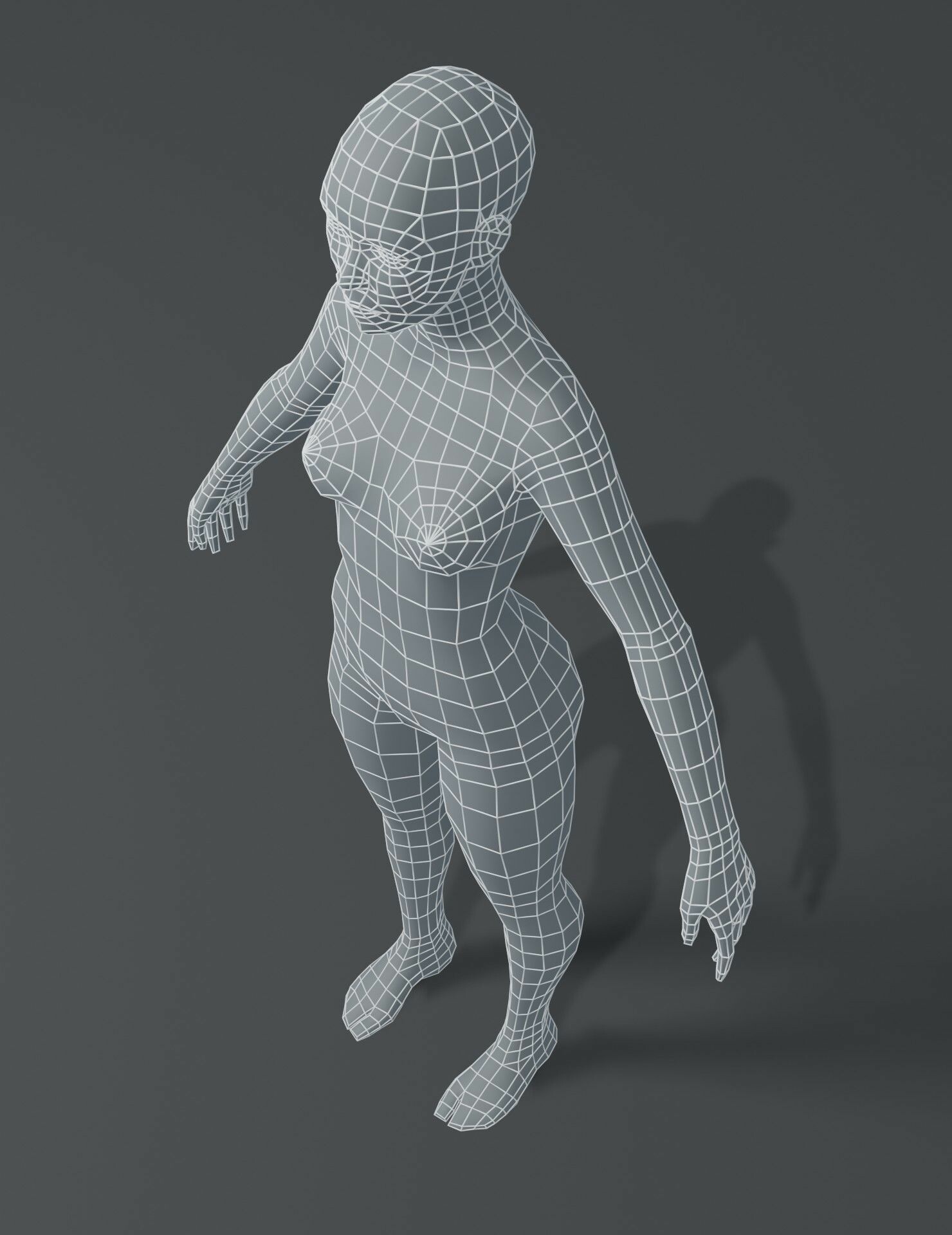ArtStation - Male and Female Body Base Mesh 3D Model | Resources