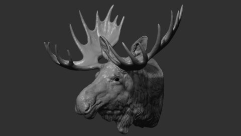 Moose Elk head