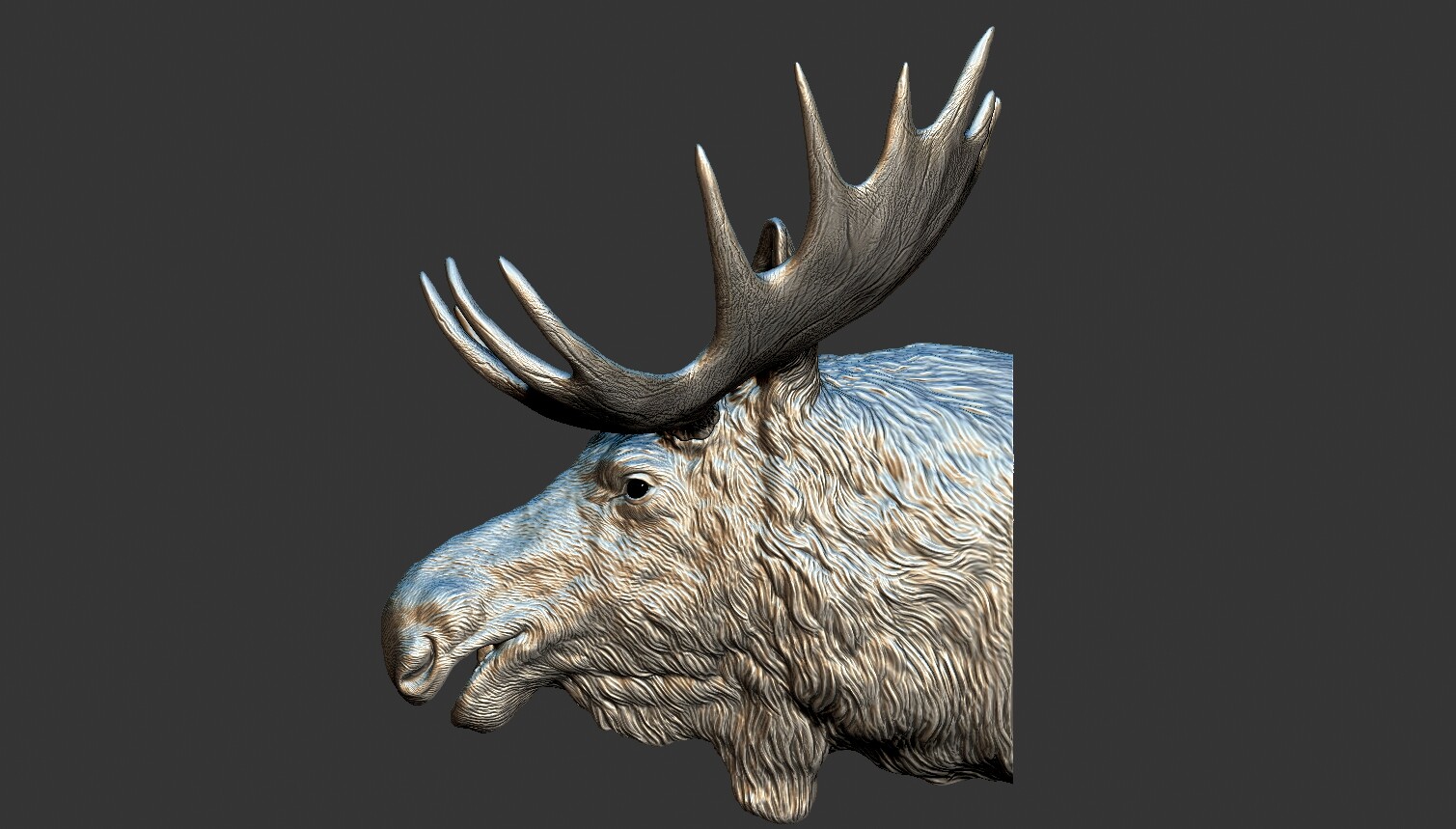 ArtStation - Moose Elk head | Resources