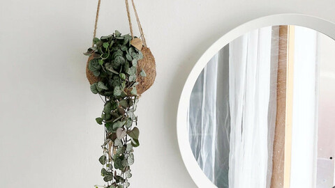 Coconut Macrame Hanging Plant Love Chain