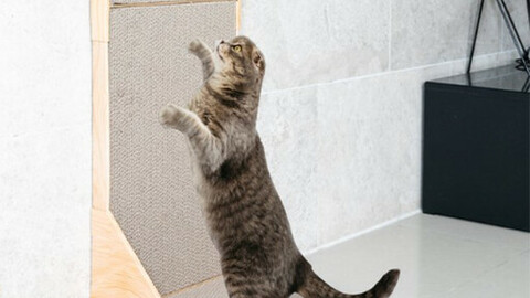 Pet Cat Wall Scratcher