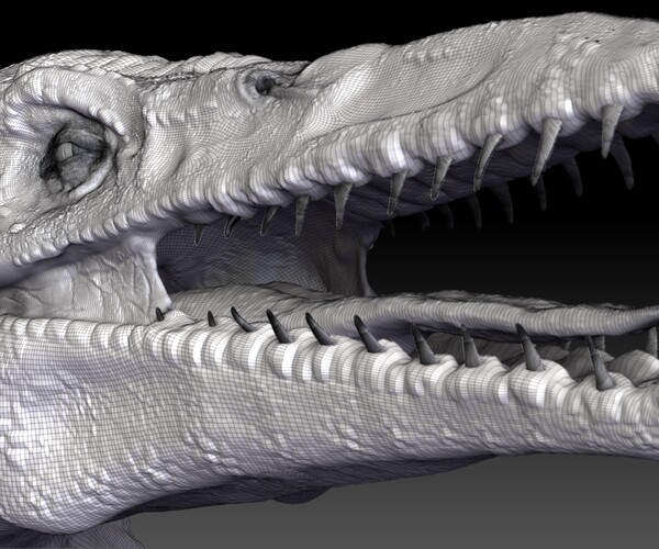 ArtStation - Tylosaurus Sculpt Project | Game Assets