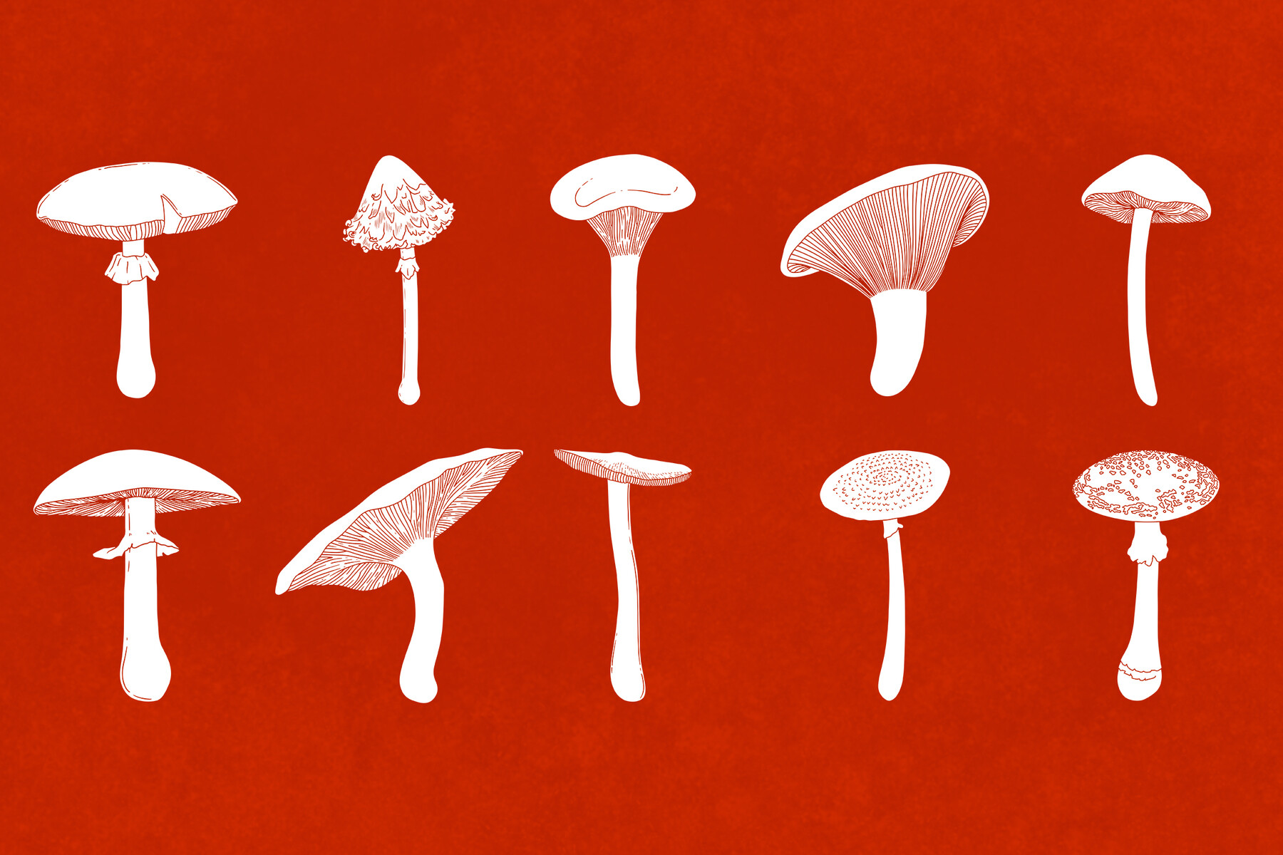 4,490 Mushroom Brush Images, Stock Photos, 3D objects, & Vectors