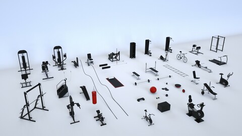 Massive Gym Equipment Collection