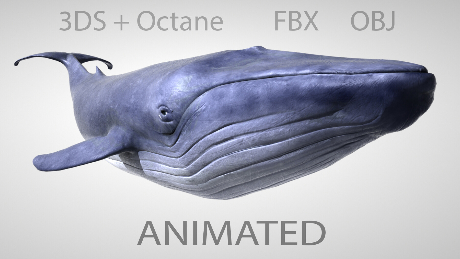 3ds max studio 8 display poly count 3ds max studio 8 display poly count