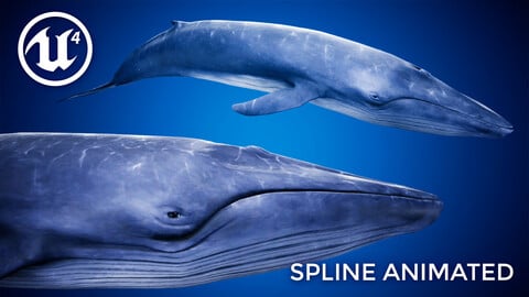 Blue Whale UE4 with Spline System