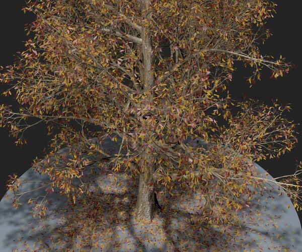 ArtStation - Autumn Tree | Resources