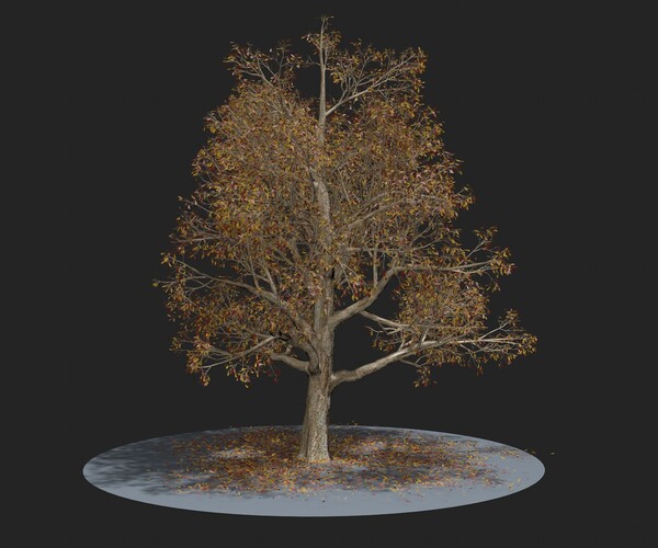 ArtStation - Autumn Tree | Resources