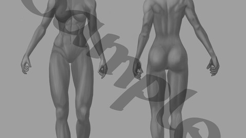 Character creation template for fit / athletic female characters