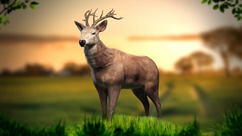 Animated Lowpoly Deer