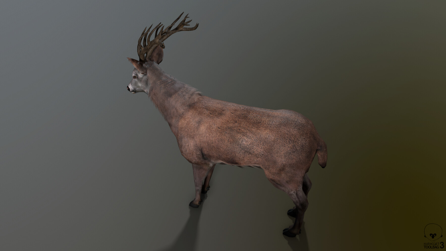 ArtStation - Animated Lowpoly Deer | Game Assets