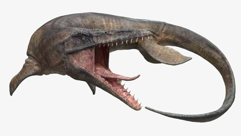 Tylosaurus - Sea Monster Series 3 UE_4.26 - 4.27 - Unity 2019.4