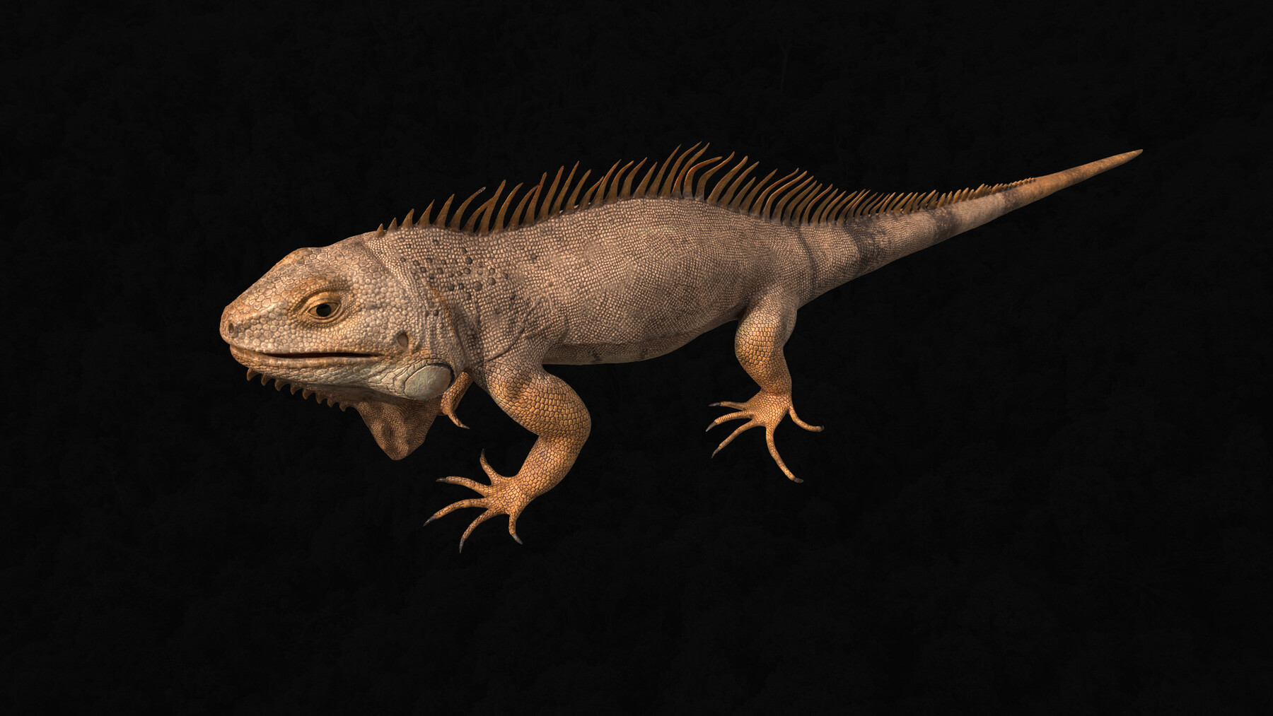 ArtStation - Animal Pack Part 1 | Resources