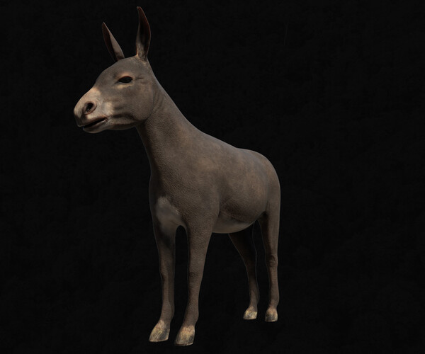 ArtStation - Animal Pack Part 1 | Resources