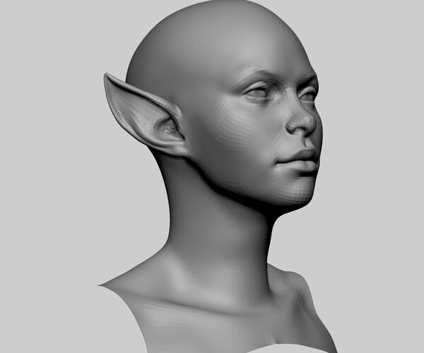 ArtStation - Stylized Female Head Basemesh | Resources