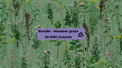 PNG Photo Pack: Meadow grass