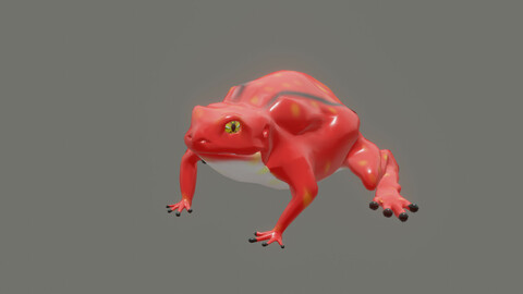 frog Dyscophus antongilii