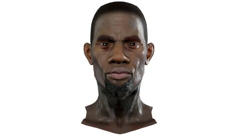 Kevin Realistic model of male head