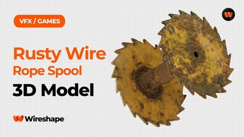 Rusty Wire Rope Spool Raw Scanned 3D Model