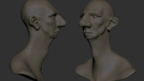 Bust creature